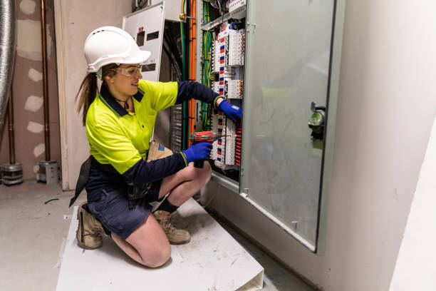 Best Electric Panel Repair  in Wagner, SD