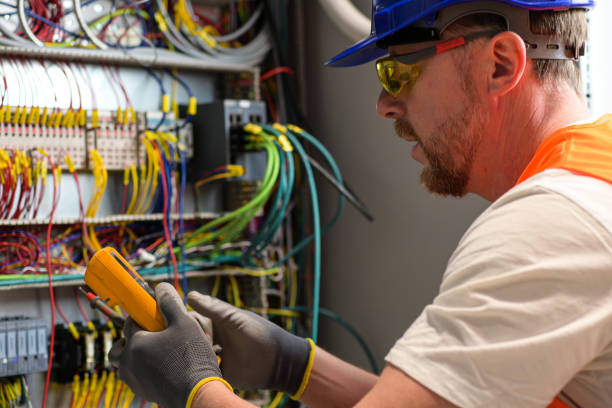 Best Ceiling Fan Installation Electrician  in Wagner, SD
