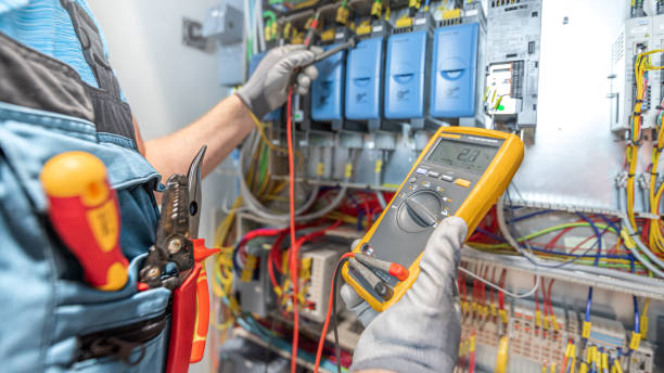 Best Electrician for Home Renovation  in Wagner, SD